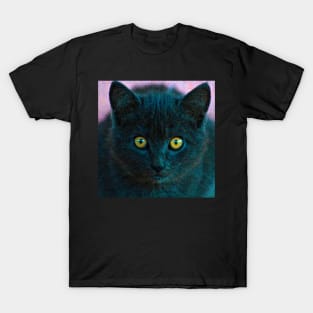 Cute Black Kitten Cat Face Closeup T-Shirt